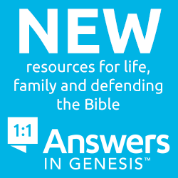 New Answers in Genesis Resources