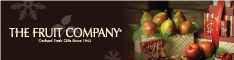 Holiday Season