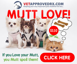 Happy National Mutt Day!