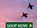 Hunting and Fishing Equipment