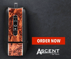 Online Discount Shopping