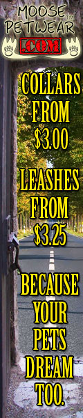 Discount Coupon