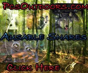 Snares 3