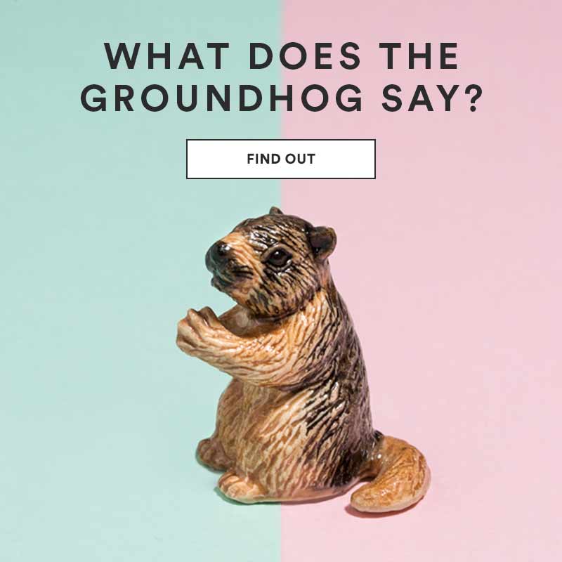 Groundhog Day - Extra 50% off Set