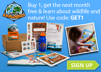Buy 1 month of Junior Explorers, get the next month free with code: GET1