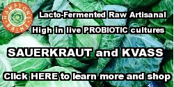 Lacto-Fermented