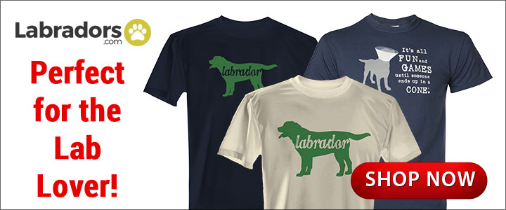 2015 Labradors.com Banners