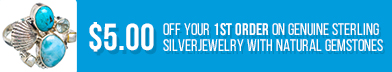 $5 off your 1st order at Ana Silver Co.