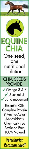 Equine Chia for Healthy Horses