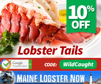 Online Discount Shopping