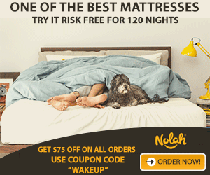 Mattress & Foam Bed