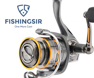 Shimano Sonora FB Aluminium 4+1 BB Spinning Fishing Reel