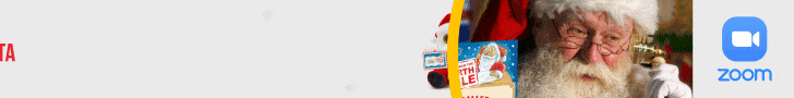 Santa Zoom Calls
