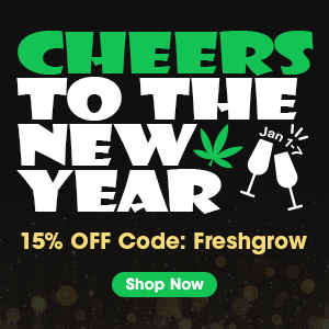 Vivosun - Cheers the New Year