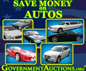 GovernmentAuctions.org