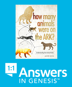 How Many Animals Were on the Ark?