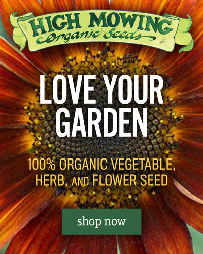Love Your Garden with High Mowing Organic Seeds