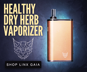 Best portable vaporizer for dry flower