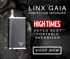Best portable vaporizer for dry flower