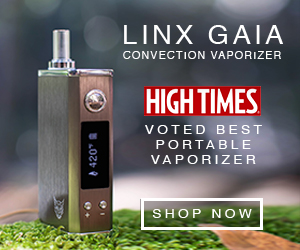 Best portable vaporizer for dry flower