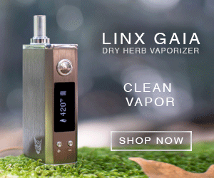 Best convection vaporizer for dry herb