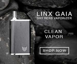 Best convection vaporizer for dry herb