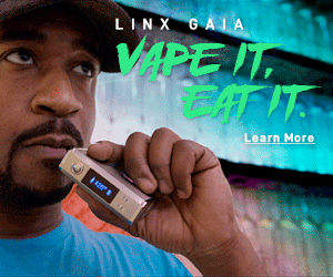 Best convection vaporizer for dry herb