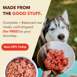 Tylee's dog food outlet website