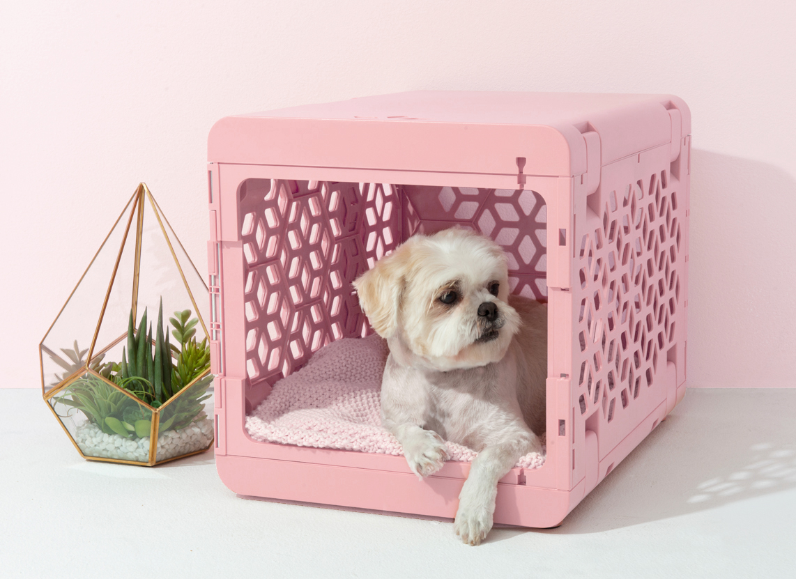 dog play pen, dog crate
