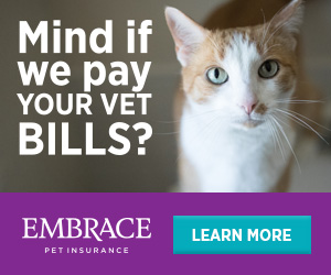 Mind if we pay your vet bills?