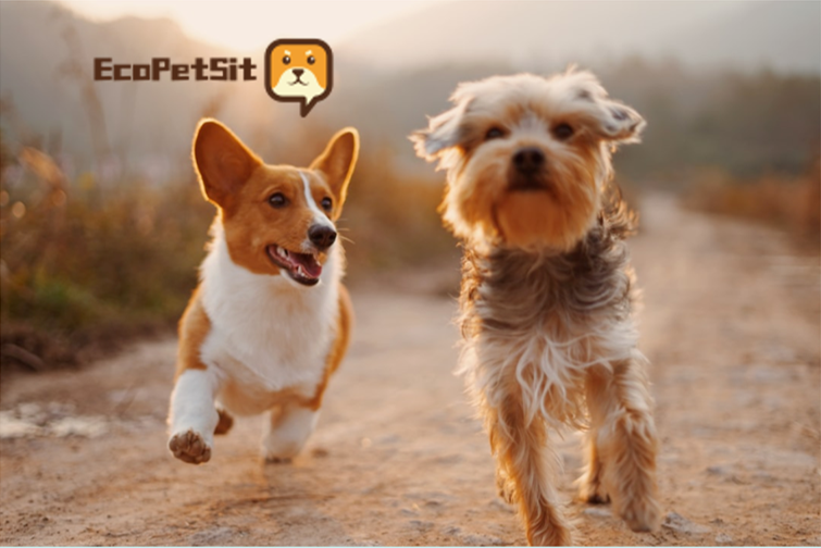 Manage your trips/pets with EcoPetSit.com