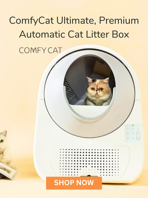 www.comfycat.com