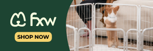 dog play pen, pets, animales