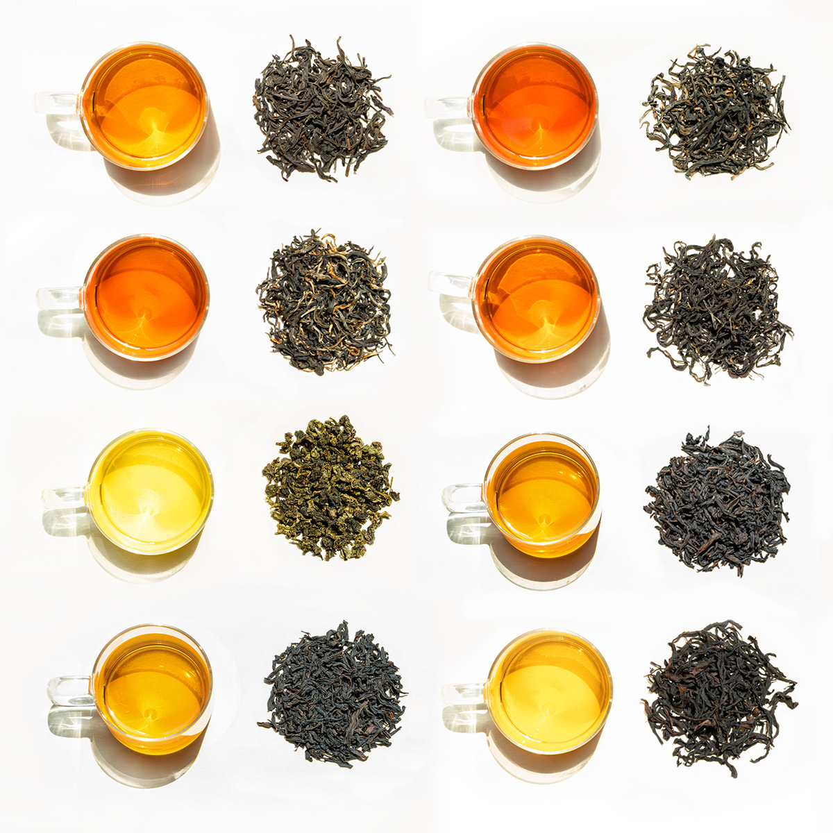 Classic Tea Selection