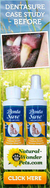 DentaSure