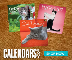 Shop the cutest cats at Calendars.com today!