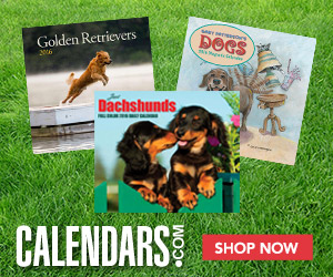 Shop Dog Calendars Now!