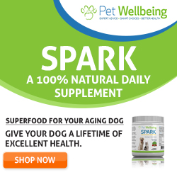 Buy SPARK on Pet Wellbeing Canada