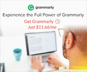 Grammarly Writing Support