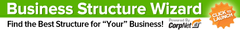 Best Business Structure