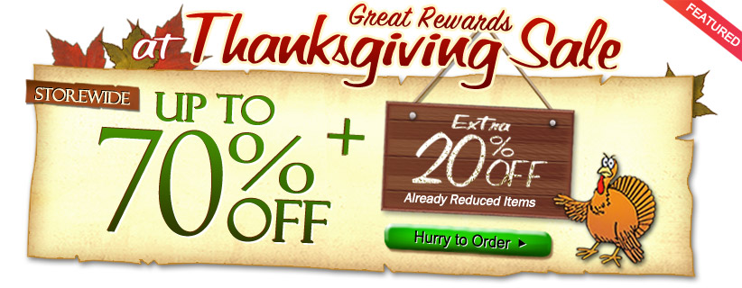 Thanks Giving Promotions