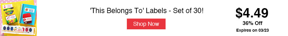 'This Belongs To' Labels - Set of 30!