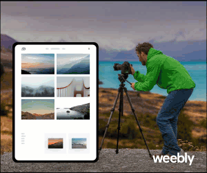 Weebly Review | A Profitable Online Pre-made Store for Your Business