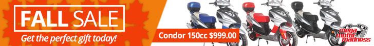Big Sale for this Fall