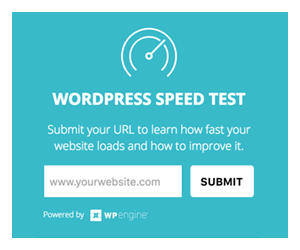 What is Income School Project 24 - WordPress Speed Test