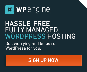 WP Engine Hassle-Free Managed WordPress Hosting