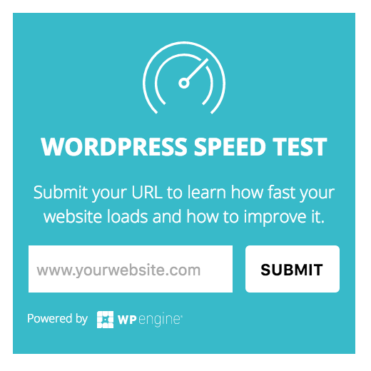 Screenshot of WordPress Speed Test