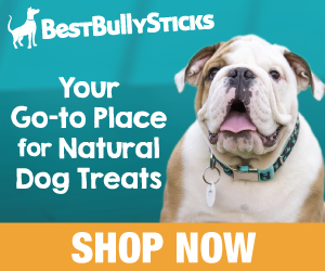 BestBullySticks