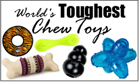 chew toys