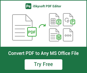 Convert PDF to Any MS Office File